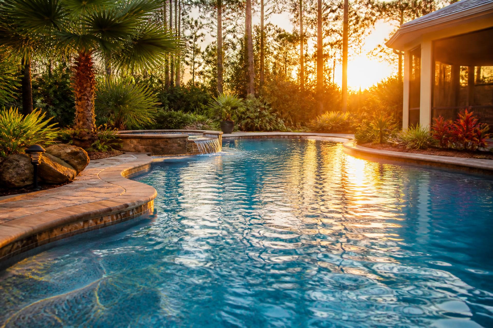 A curved backyard pool at sunset framed by tropical planting.